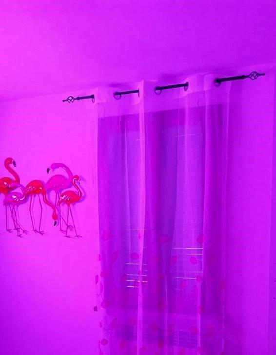 チッタ・ディ・カステッロLa Casa Colorataアパートメント エクステリア 写真